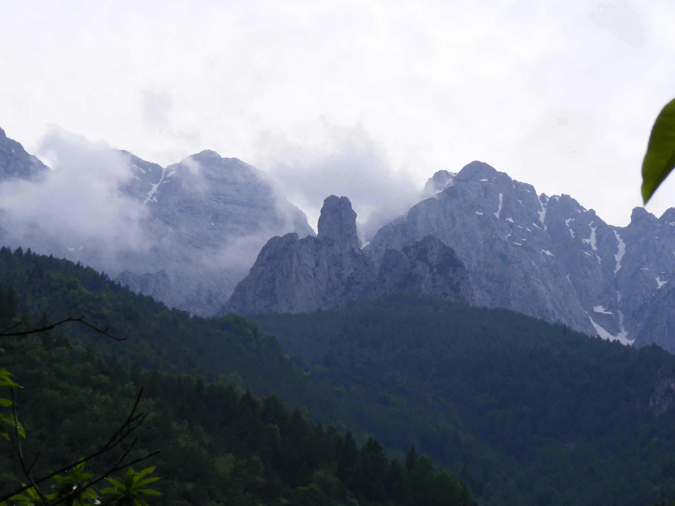 La Regione del Bello: la fioritura di giugno